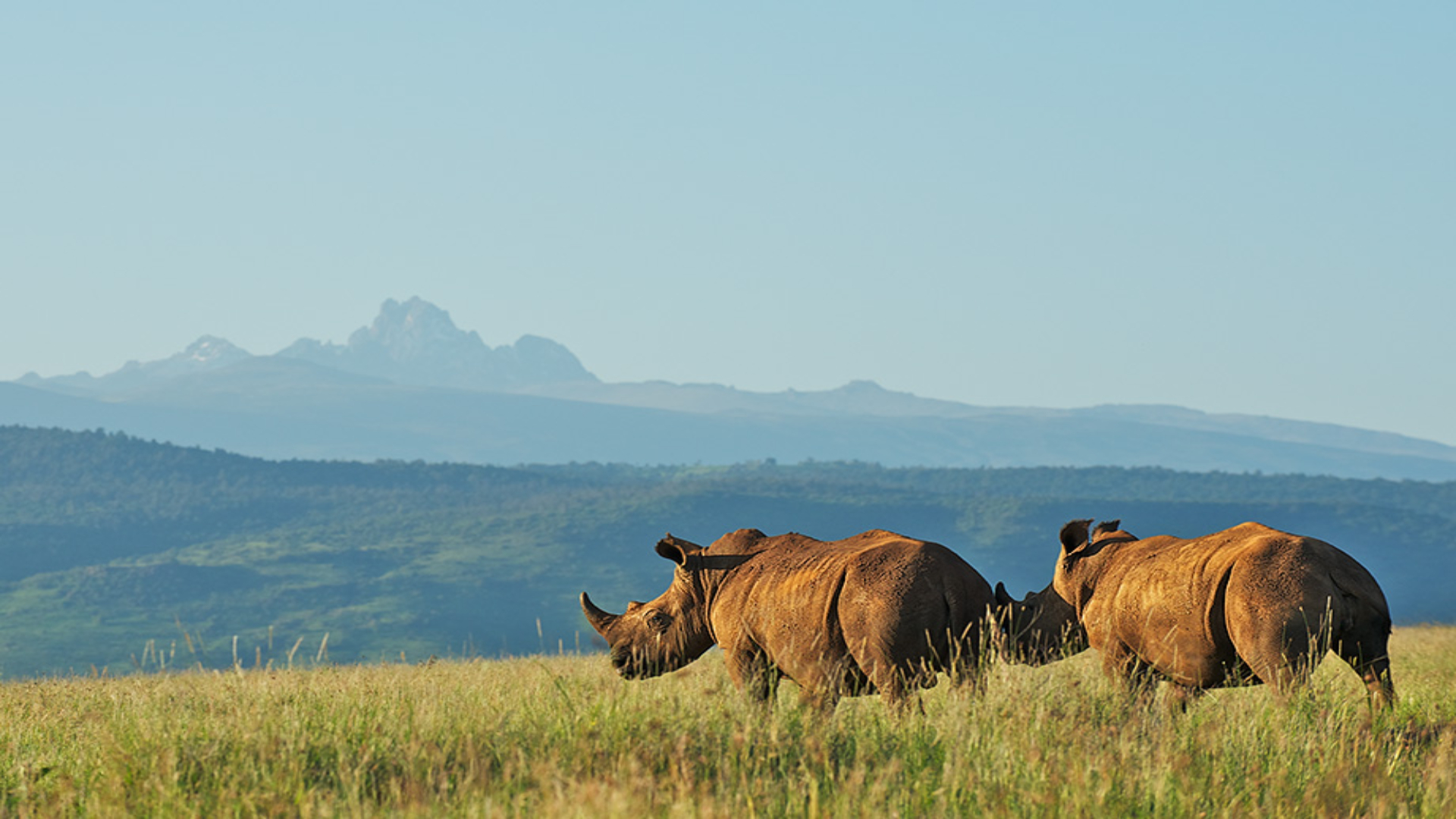 Parc National du Mont Kenya