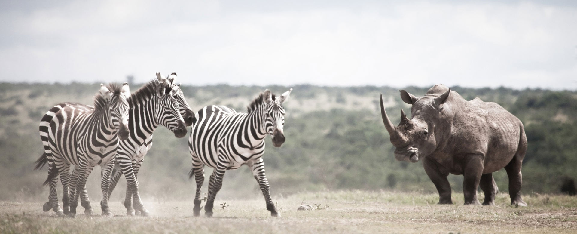 Sanctuaire de Taita Hills