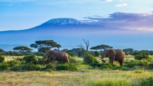 Amboseli National Park