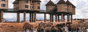 3-jours-de-safari-à-Tsavo-Est-et-au-sanctuaire-de-Taita-Hill