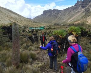 4-jours-pour-gravir-le-mont-Kenya