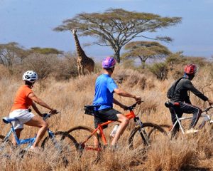 4-jours-de-randonnée,-vélo,-marche