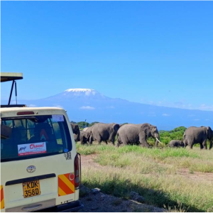 safaris in Tanzania