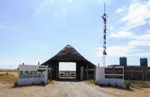 Ol Pejeta Conservancy