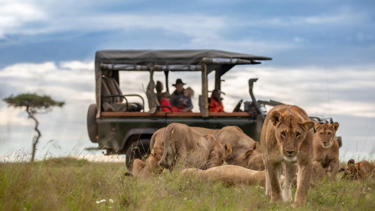 4 jour Masai Mara safari