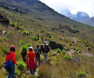 6-Jour-Ascension-et-Randonnéedu-Mont-Kenya