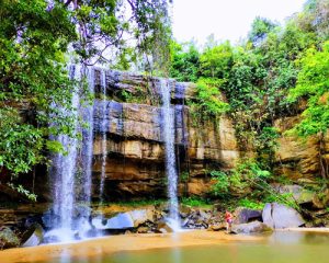 une-journée-au-parc-national-de-Shimba-Hills