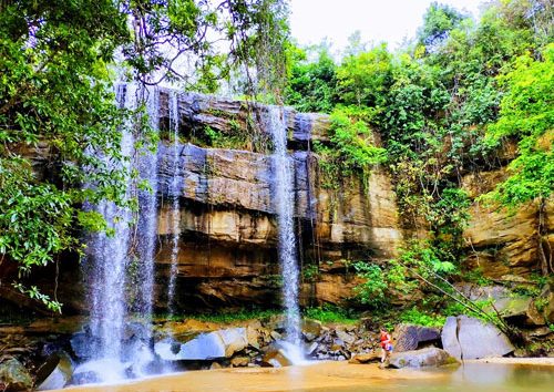 une-journée-au-parc-national-de-Shimba-Hills