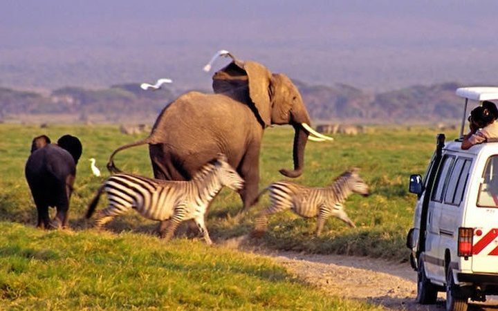 3 Jours Safari Amboseli