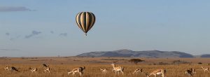 Meilleur-safari-en-montgolfière-dans-le-Masai-Mara-et-Ambosel