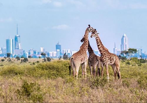 Nairobi-national-park