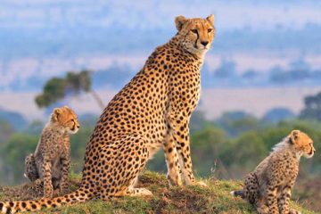 Randonnée-et-safari-au-mont-Kenya-de-11-jours