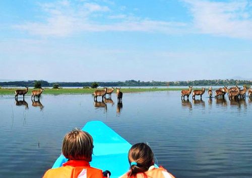 Safari-boat-tour-and-walk-at-Crescent-Island