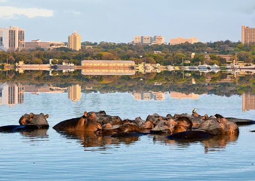 Une-Journée-au-Lac-Victoria-et-à-La-Ville-de-Kisumu