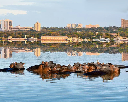 Une-Journée-au-Lac-Victoria-et-à-La-Ville-de-Kisumu