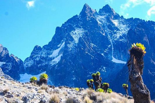 11 Jours Randonnée au Mont Kenya et Safari