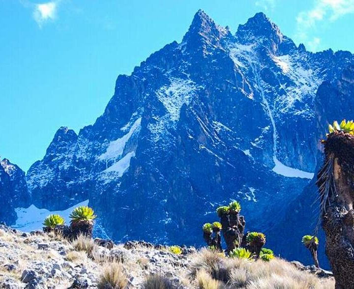 11 Jours Randonnée au Mont Kenya et Safari