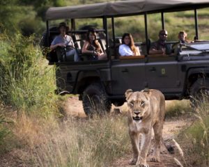 11-jours-à-la-découverte-du-Kenya-Family-Safari