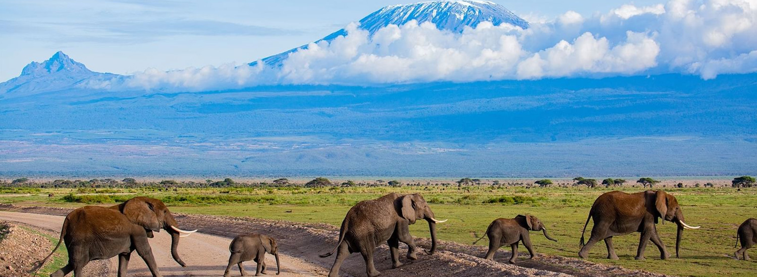 Le Parc National d’Amboseli
