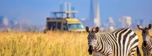 Parc-National-de-Nairobi-kenya