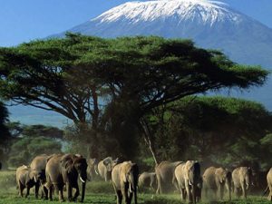 Parc national d'Amboseli